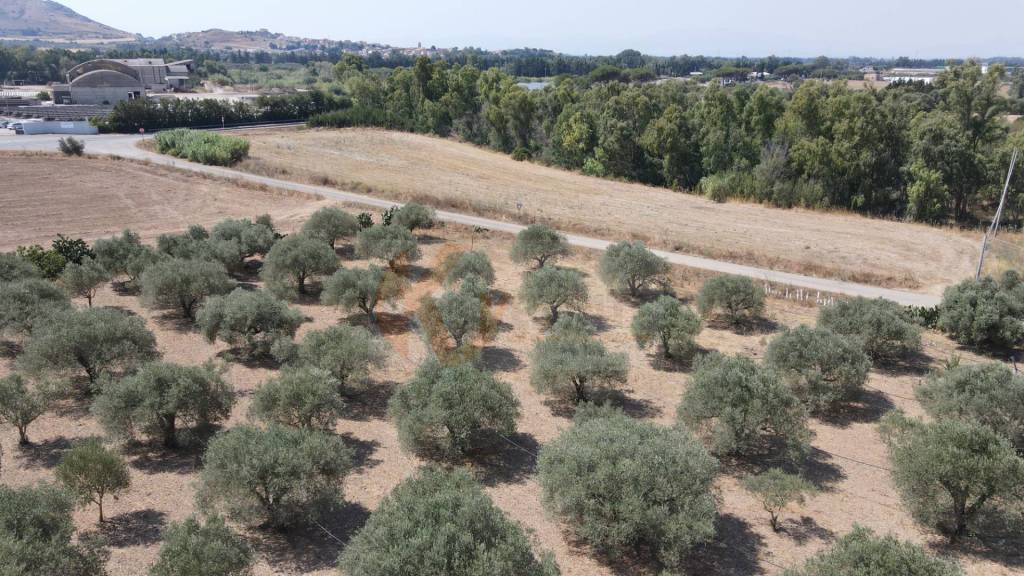 immagine annuncio 13 di 14