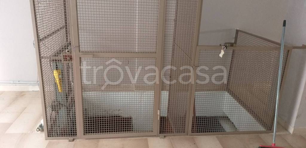 immagine annuncio 6 di 14