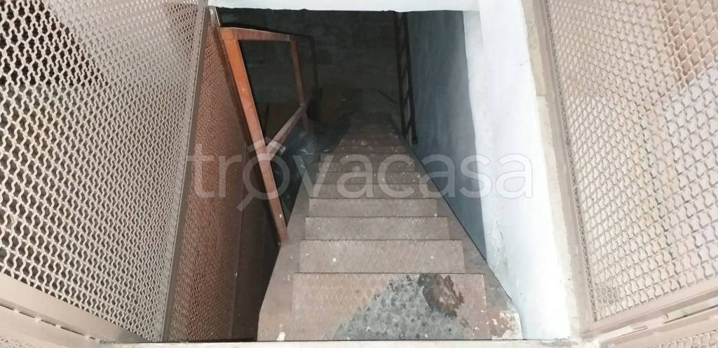 immagine annuncio 7 di 14