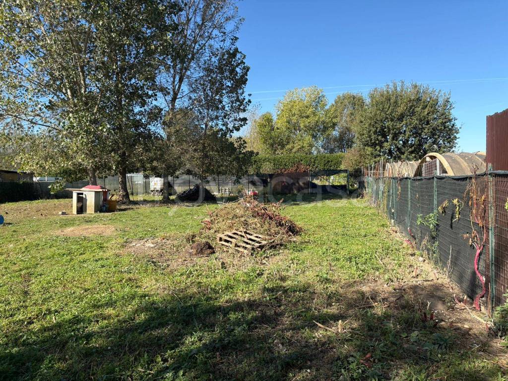 immagine annuncio 2 di 11