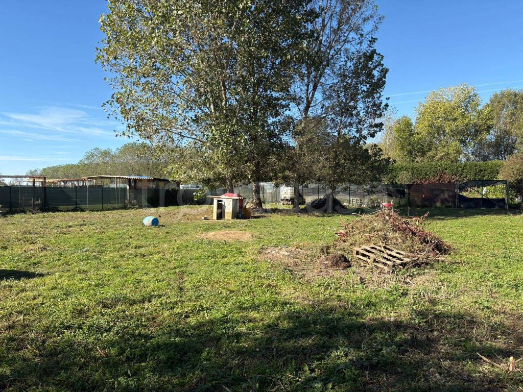 immagine annuncio 3 di 11