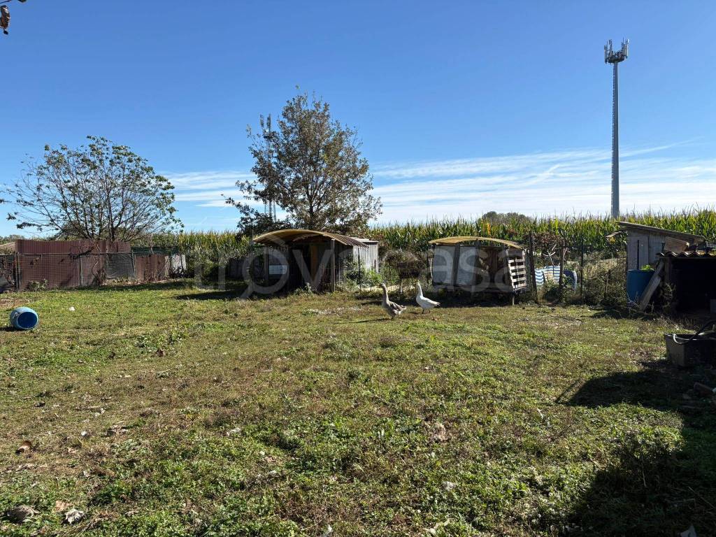 immagine annuncio 4 di 11