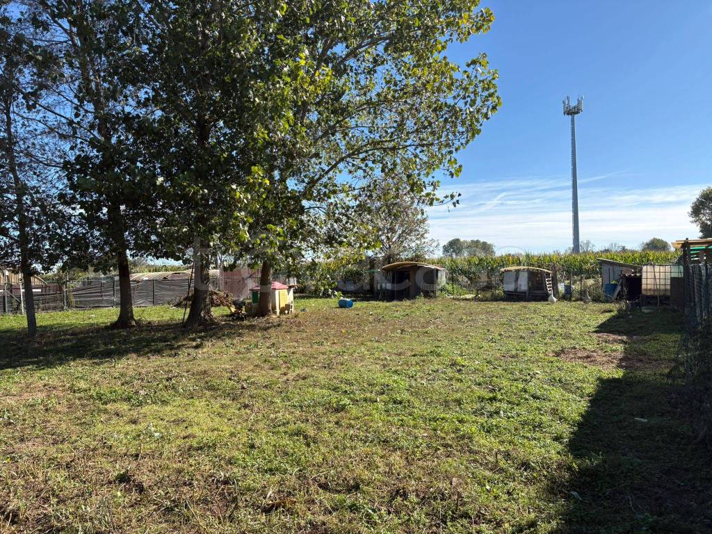 immagine annuncio 5 di 11