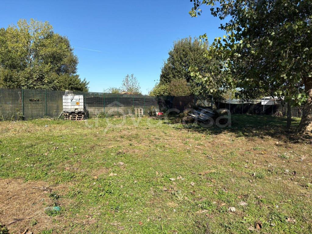 immagine annuncio 6 di 11