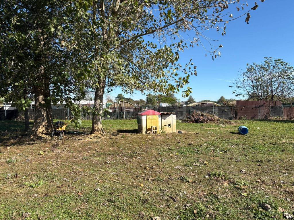 immagine annuncio 8 di 11