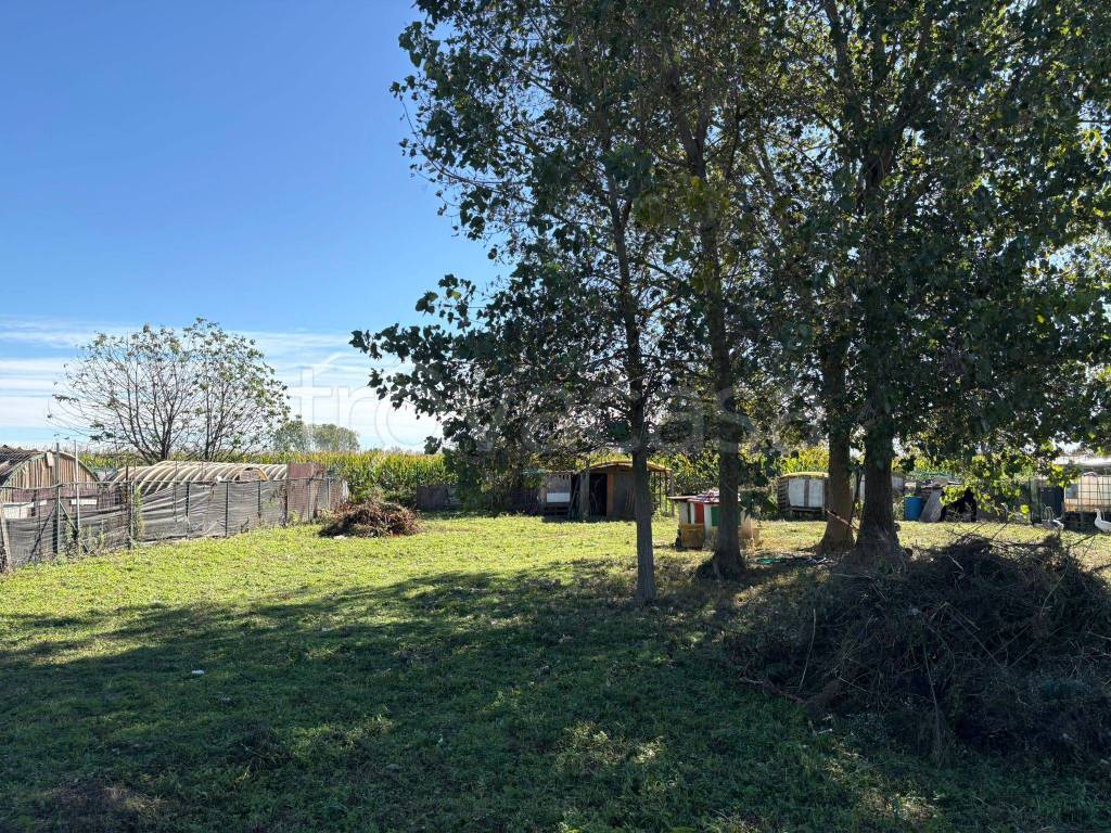 immagine annuncio 9 di 11