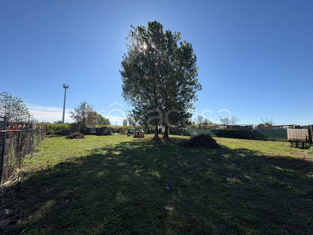 immagine annuncio 10 di 11