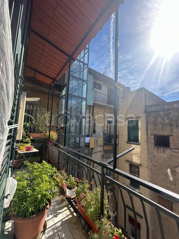 immagine annuncio 10 di 14