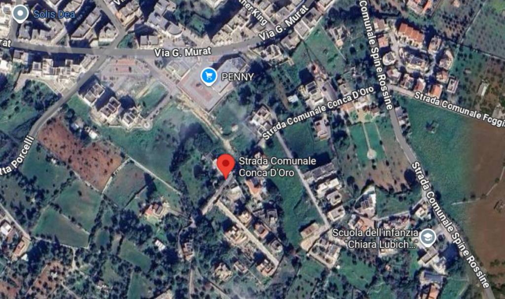 immagine annuncio 10 di 15