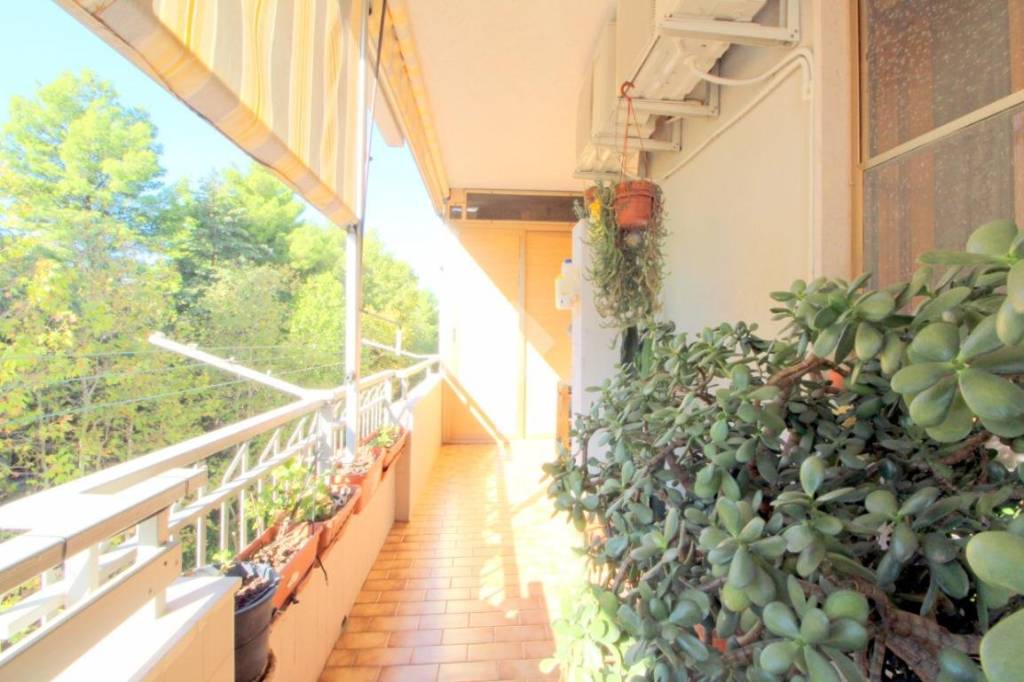 immagine annuncio 5 di 8