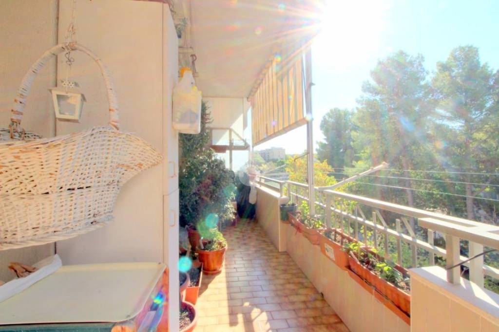 immagine annuncio 6 di 8