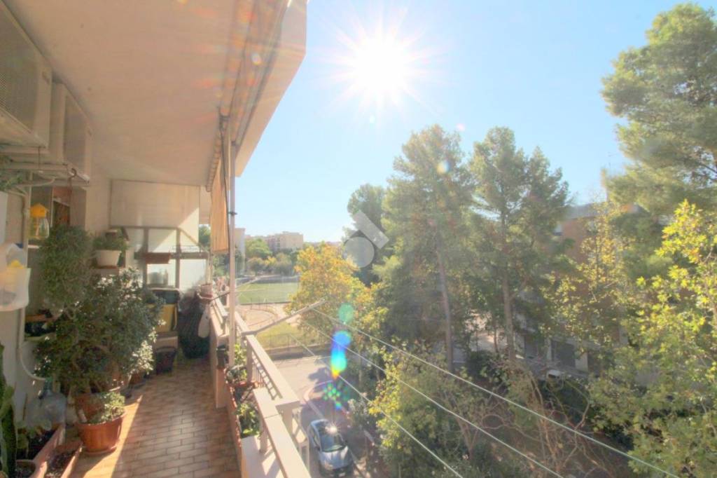 immagine annuncio 7 di 8