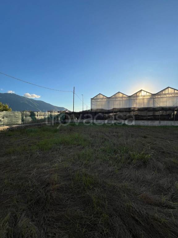 immagine annuncio 3 di 7