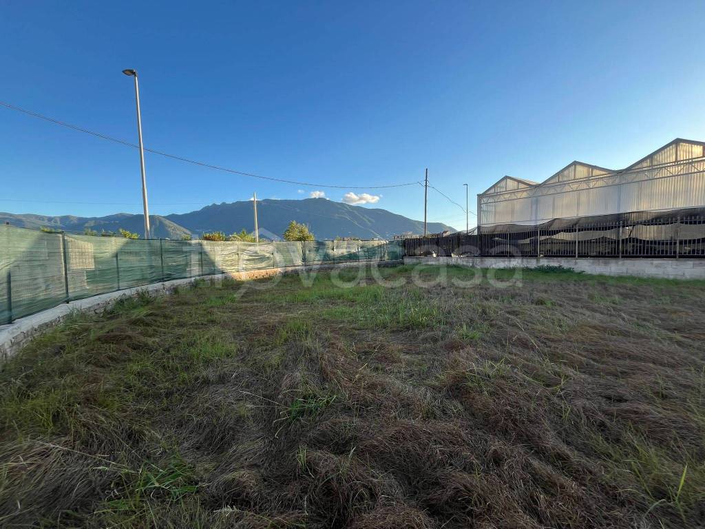 immagine annuncio 5 di 7