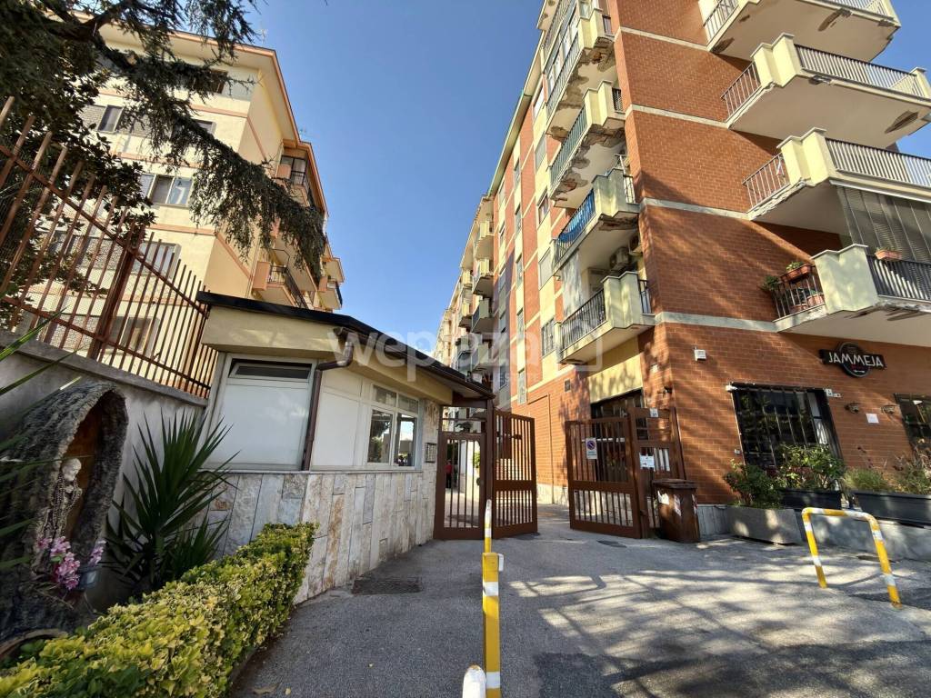 immagine annuncio 9 di 13