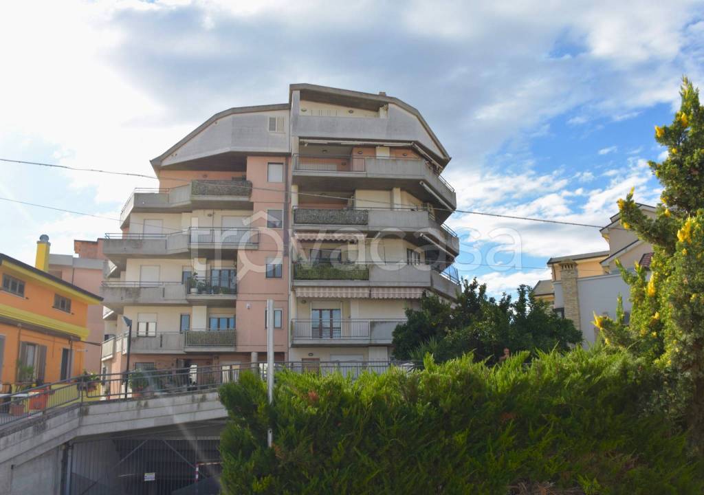immagine annuncio 2 di 3