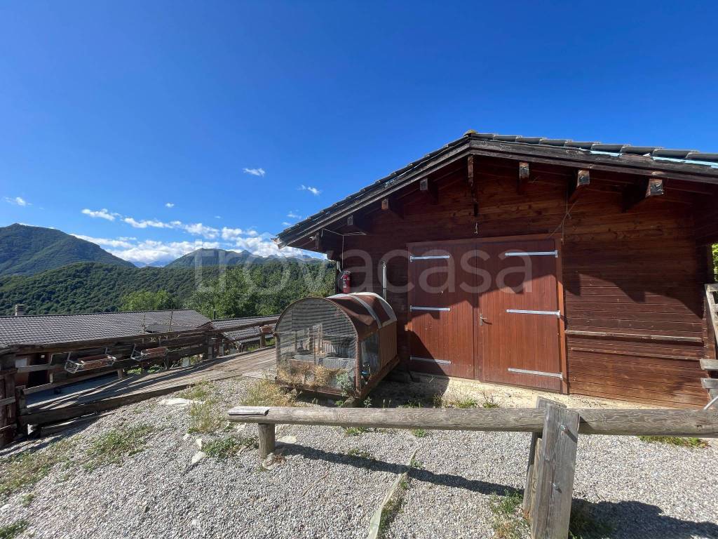 immagine annuncio 11 di 15