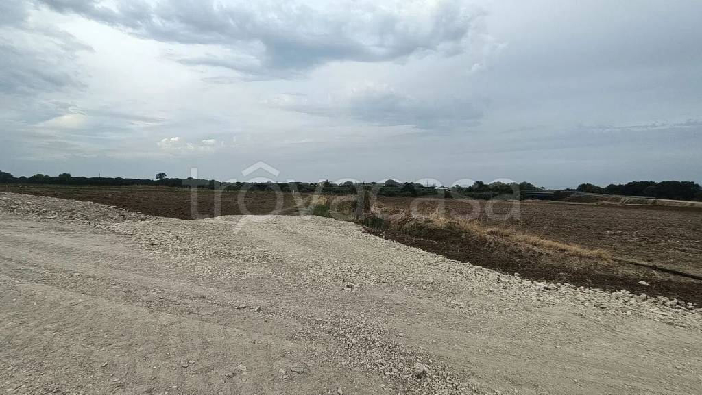 immagine annuncio 6 di 9