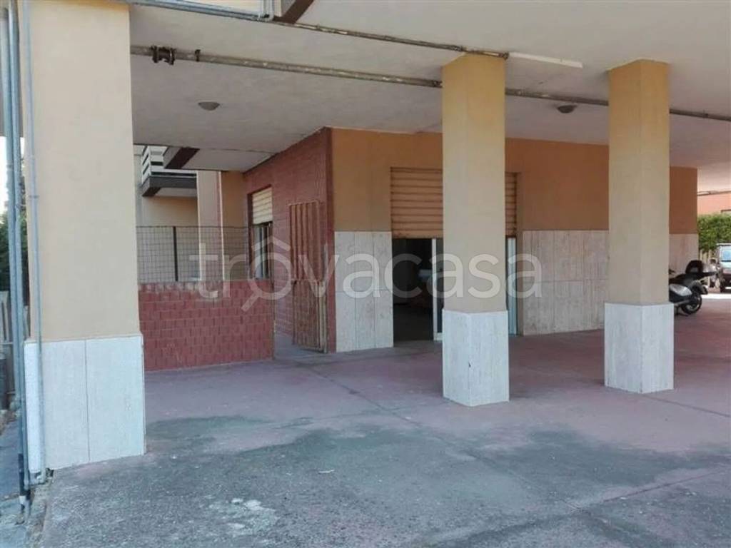 immagine annuncio 2 di 7