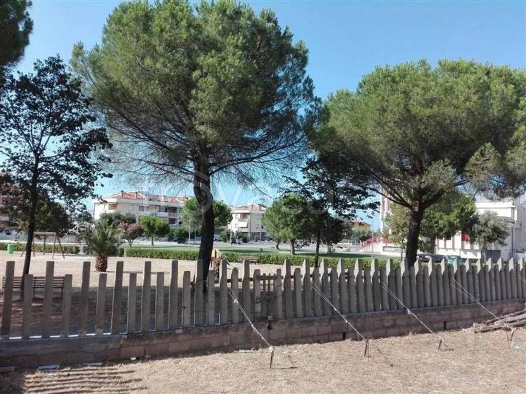 immagine annuncio 5 di 7