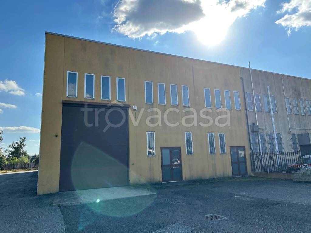 immagine annuncio 11 di 12