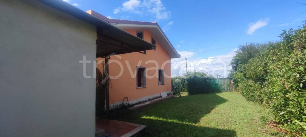 immagine annuncio 2 di 7