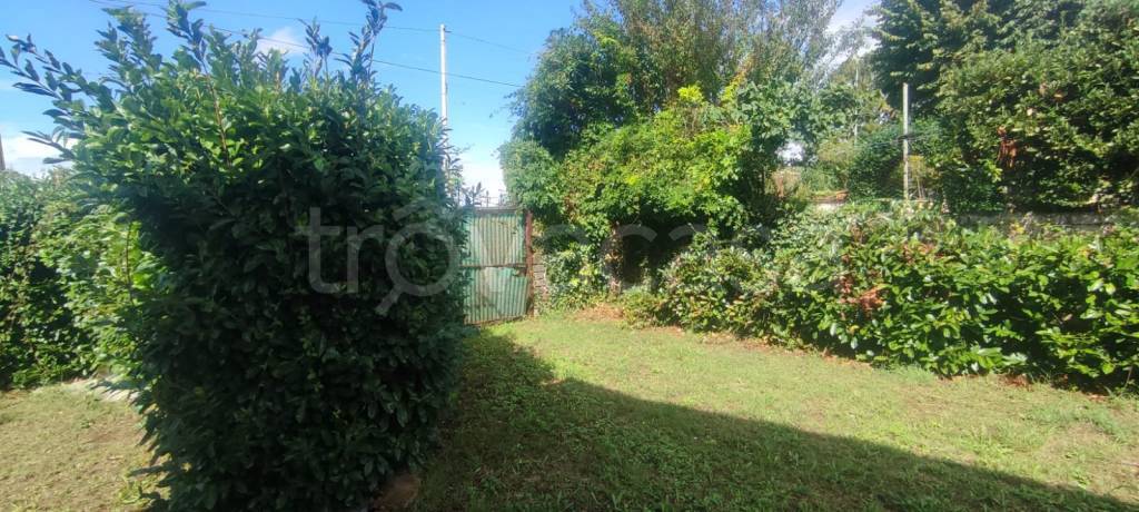 immagine annuncio 3 di 7