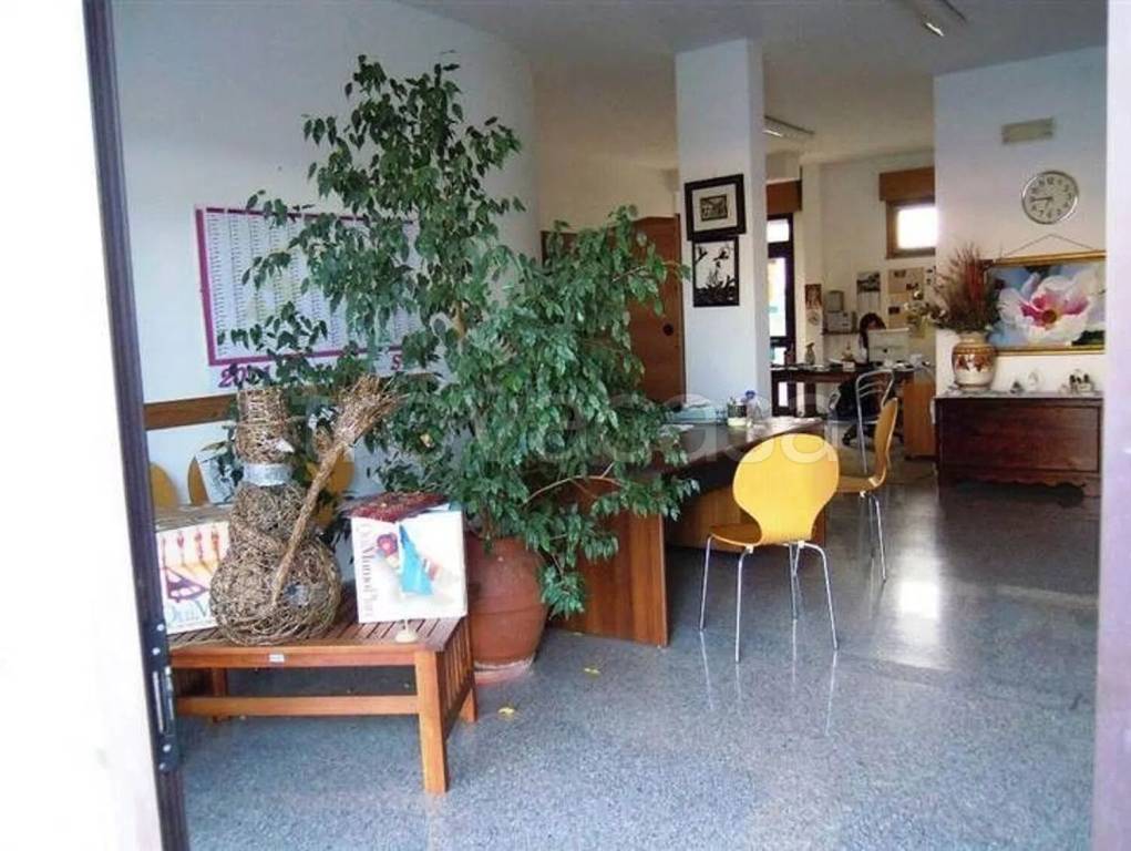 immagine annuncio 1 di 7