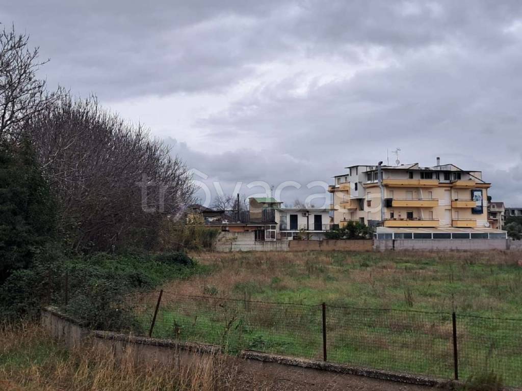 immagine annuncio 6 di 14