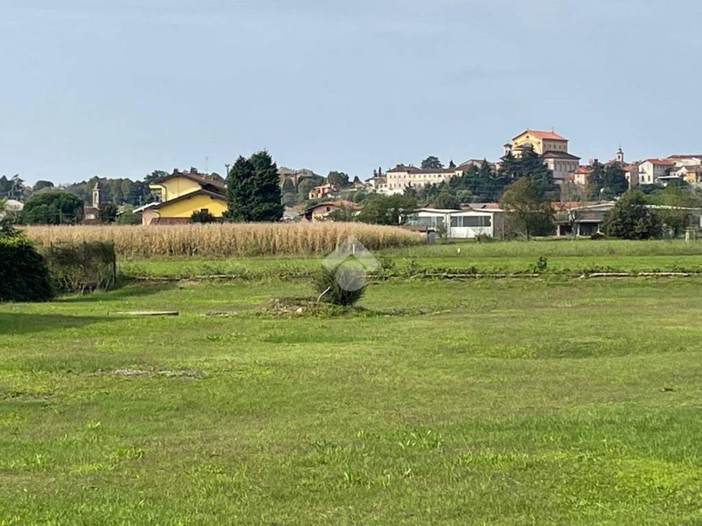 immagine annuncio 3 di 8