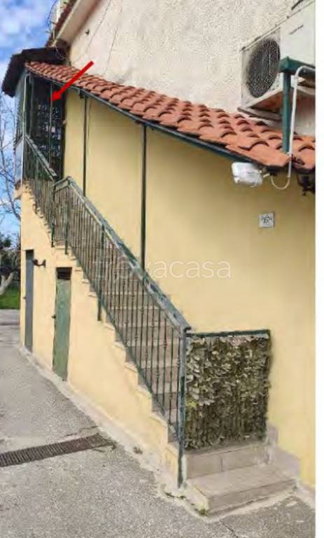 immagine annuncio 1 di 11