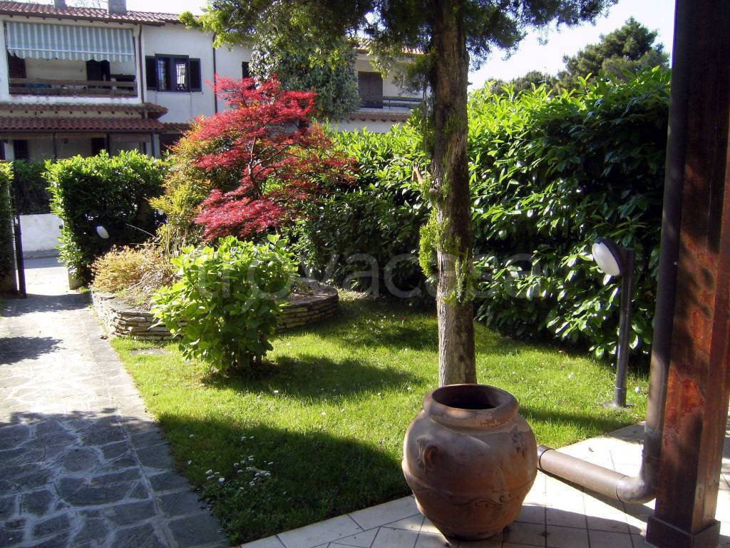 immagine annuncio 5 di 14