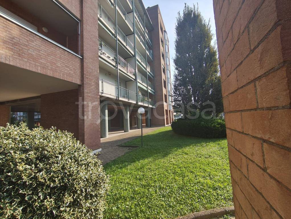 immagine annuncio 6 di 13