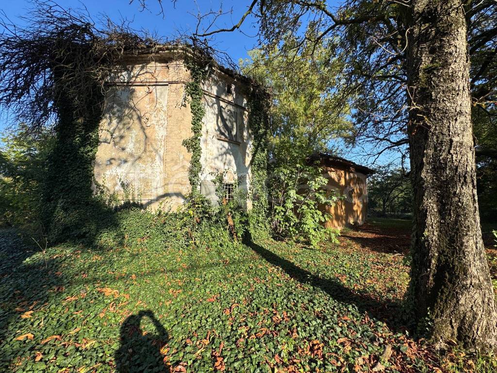 immagine annuncio 2 di 8