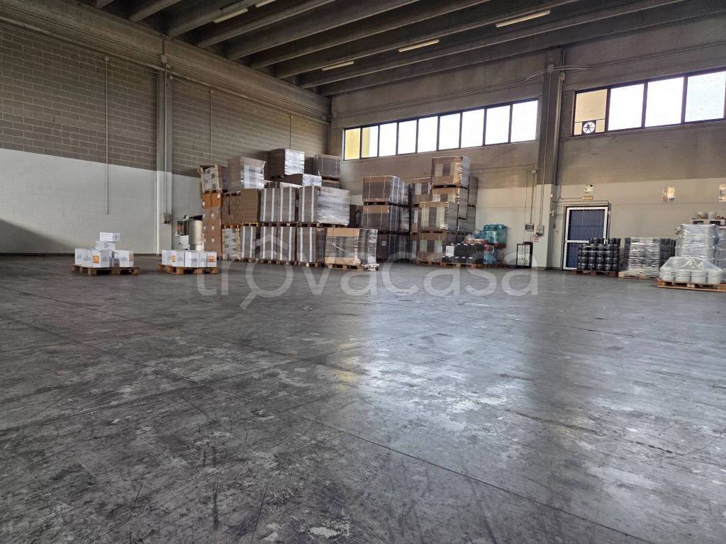 immagine annuncio 3 di 13