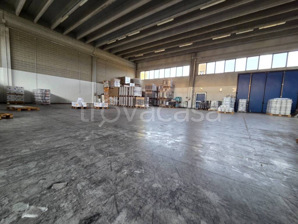 immagine annuncio 4 di 13