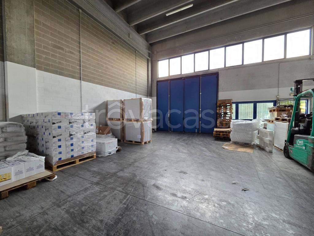 immagine annuncio 5 di 13