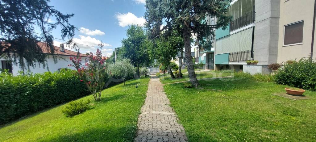 immagine annuncio 6 di 15