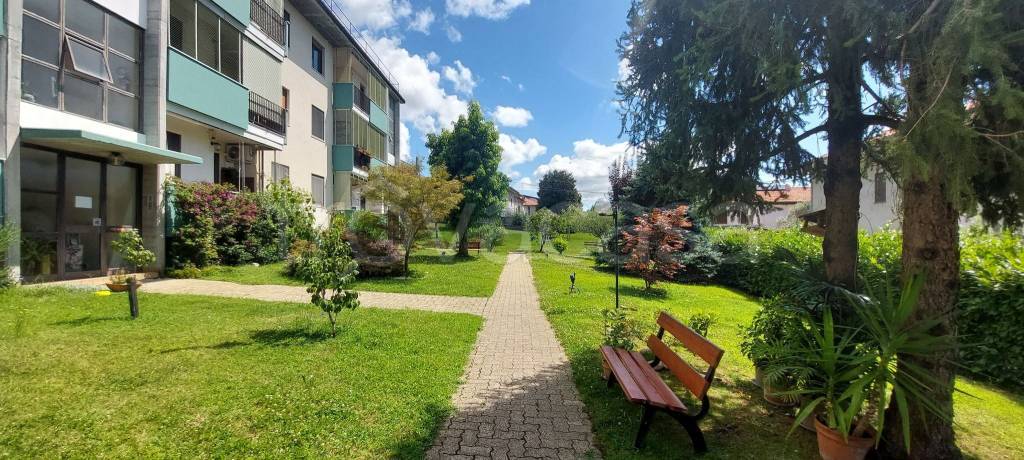 immagine annuncio 9 di 15