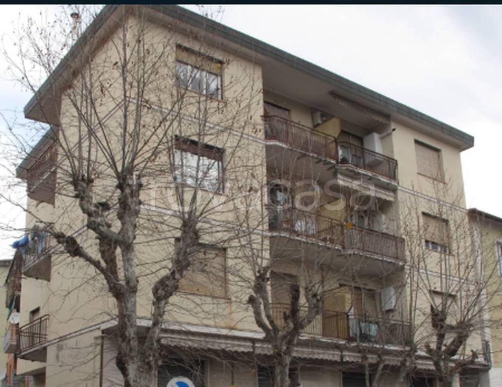 immagine annuncio 11 di 13