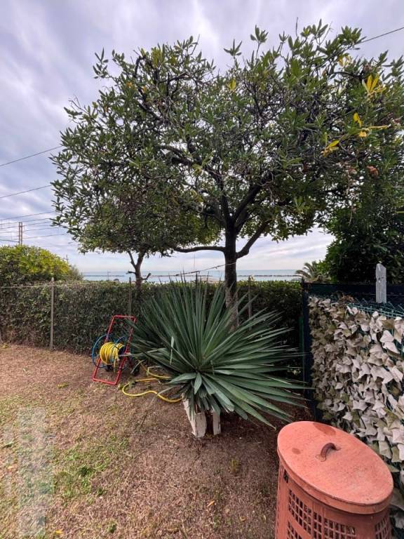 immagine annuncio 5 di 9