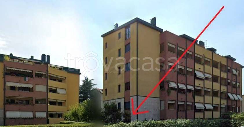 immagine annuncio 2 di 8