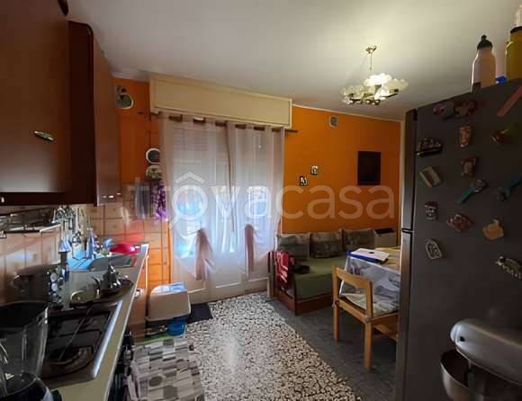 immagine annuncio 3 di 8
