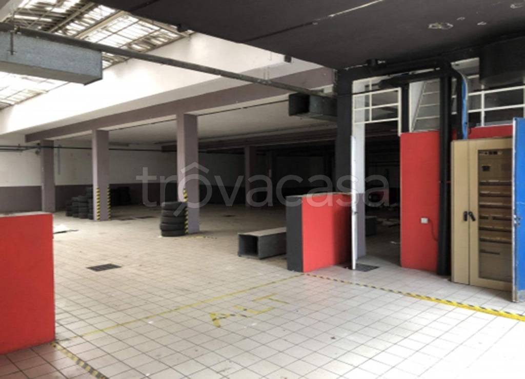 immagine annuncio 12 di 15