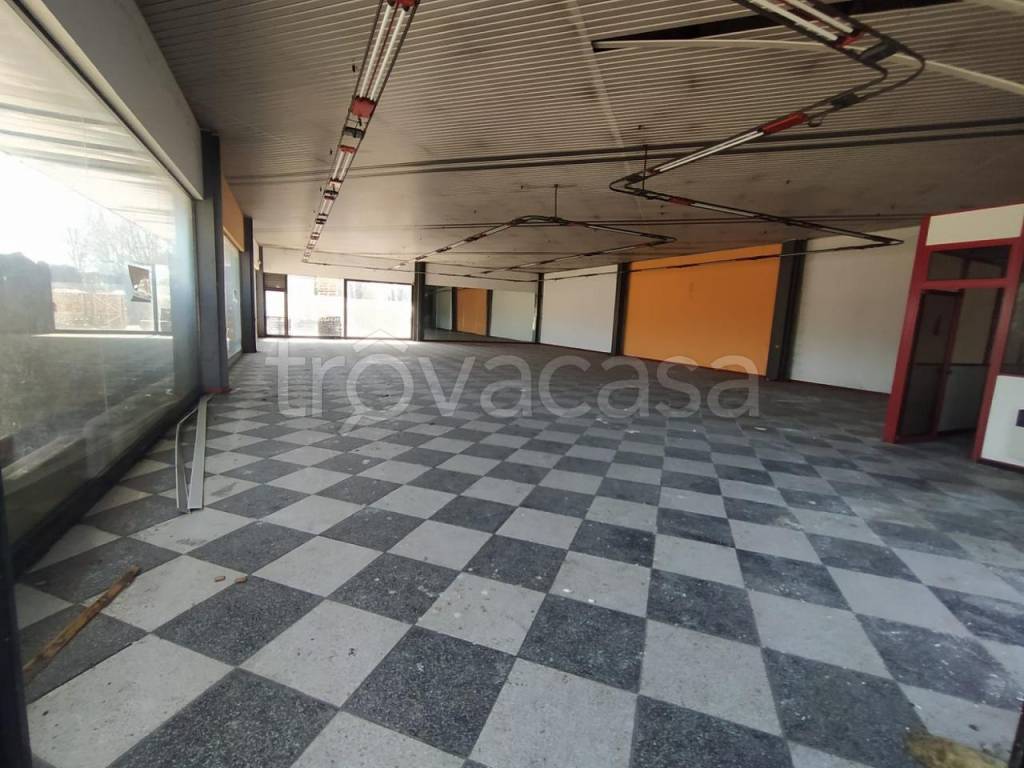 immagine annuncio 2 di 9