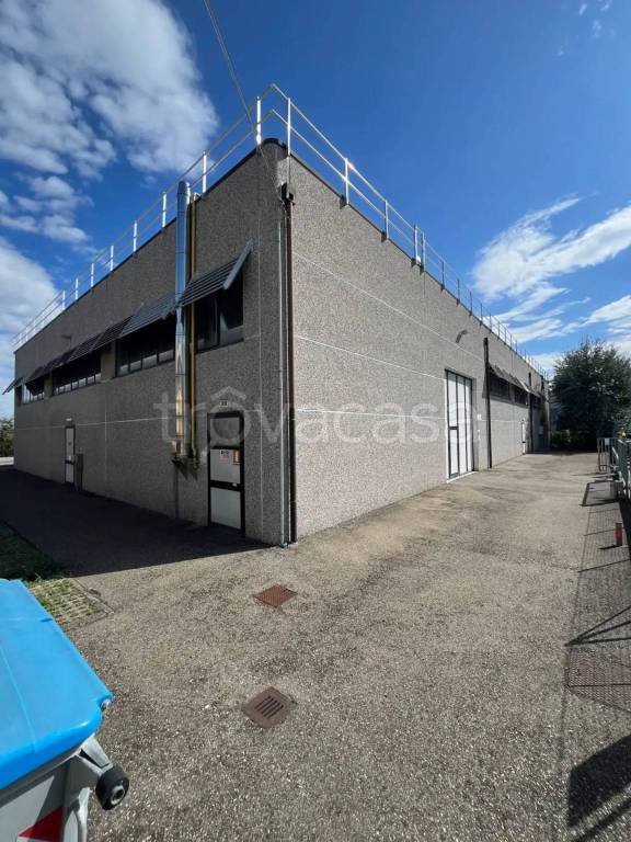 immagine annuncio 1 di 10