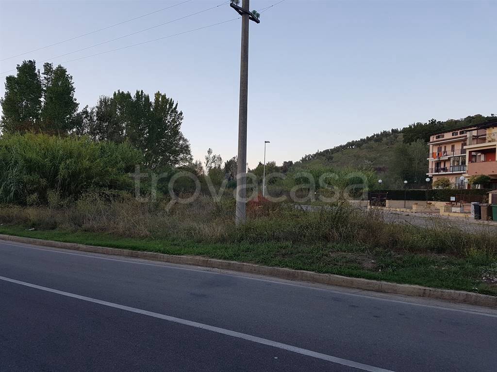 immagine annuncio 1 di 6