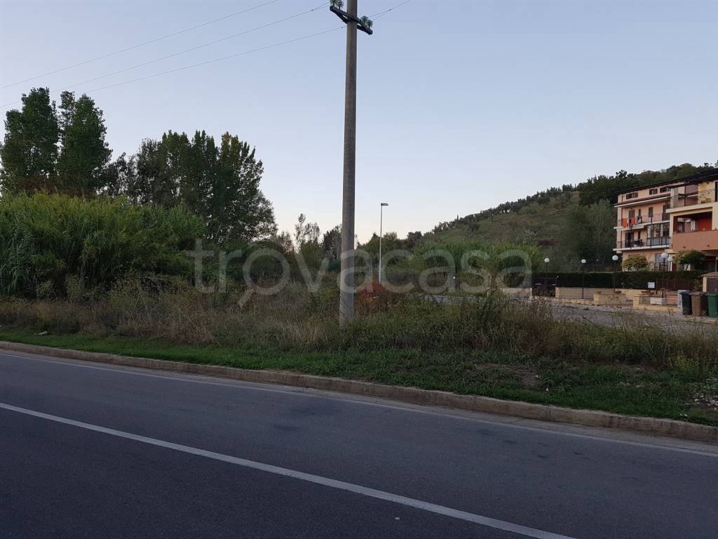 immagine annuncio 2 di 6