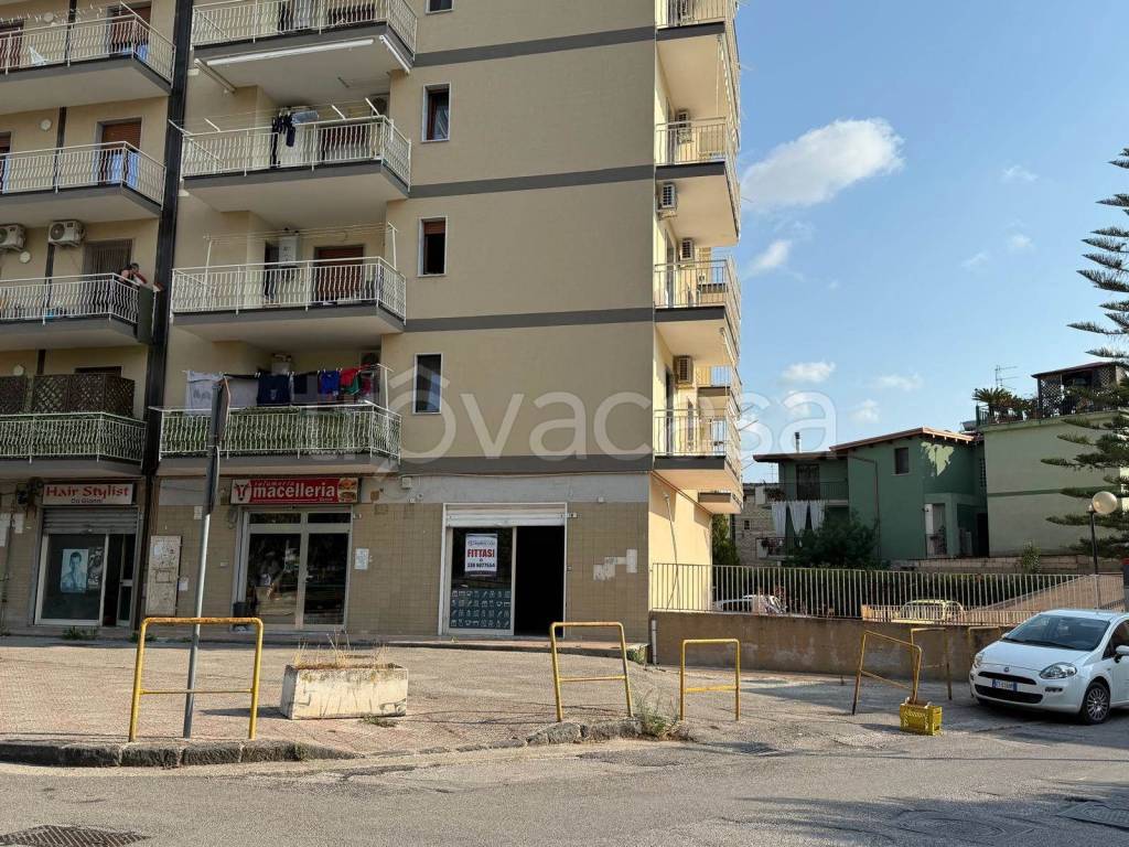 immagine annuncio 10 di 14