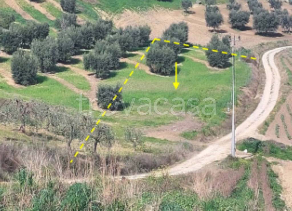 immagine annuncio 2 di 11